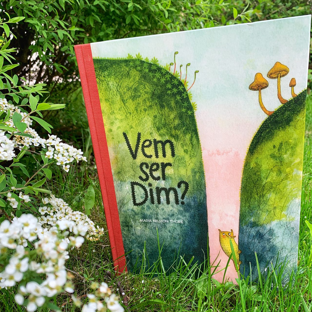 Bild på en barnbok som ligger utomhus i gräset