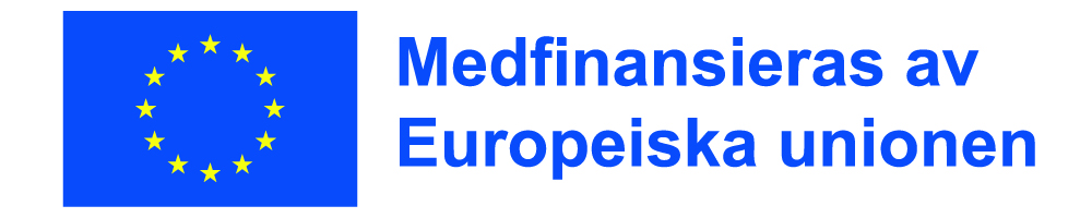Europeiska unionens flagga med texten Medfinansieras av Europeiska unionen