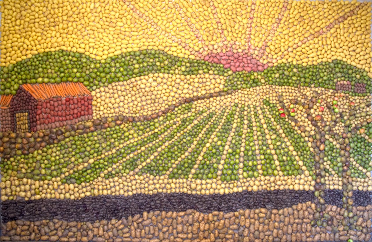 Ett foto av en stor tavla skapad av potatis i olika färger. Den föreställer ett landsbyggdslandskap